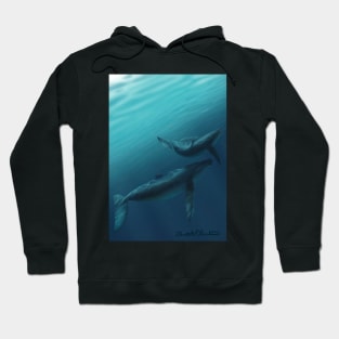 Whales Hoodie